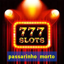 passarinho morto significado espiritual
